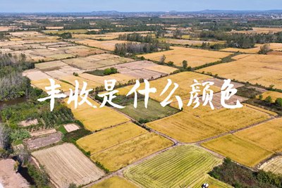 春種一粒粟，秋收萬顆子。多彩的豐收季，只愿五谷豐登，百事興旺3.240_400.jpg