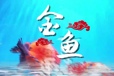 金魚歡躍，流光溢彩！_400.jpg
